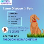 Lyme Disease in pets_Dr.Garciajpg.jpg