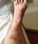 thumb_IMG_0468_1024.jpg